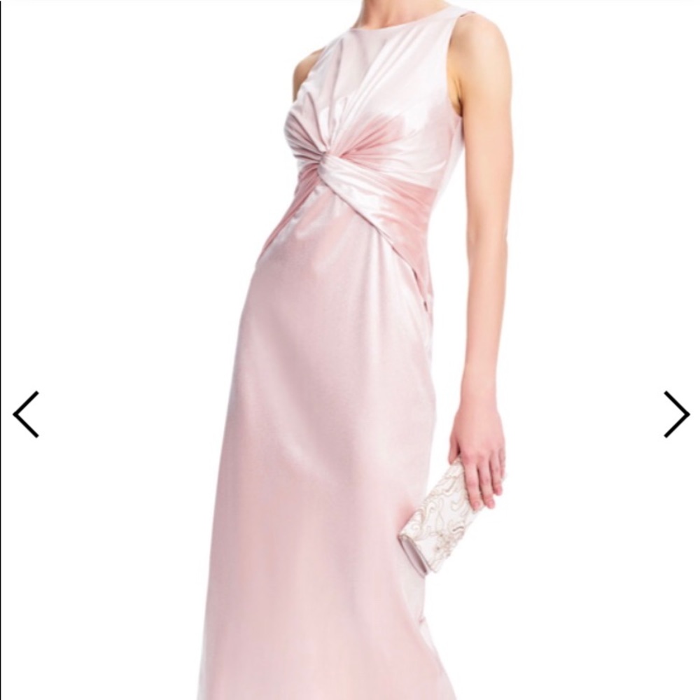 Adrianna Papell Blush Velvet